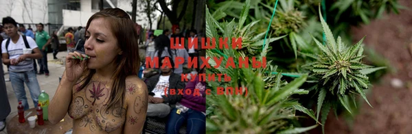 спайс Баксан